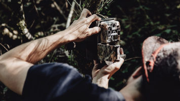 piège photographique chasse